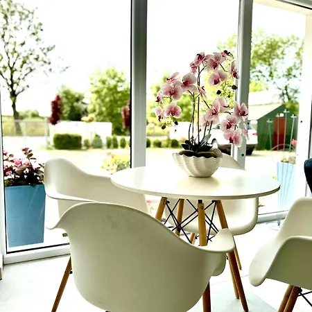 I Baltimor גרצי'יבובו